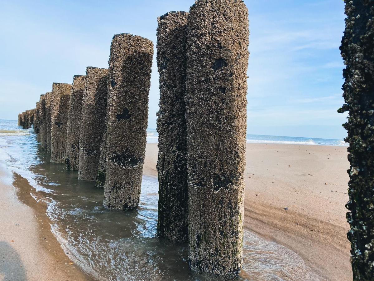 Vakantiehuis Domburg Do33 エクステリア 写真